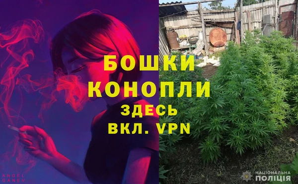 герыч Бородино