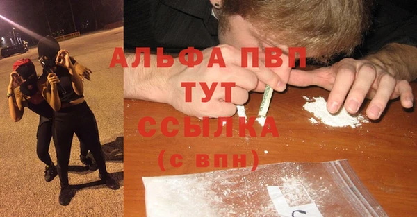молекула духа Покров